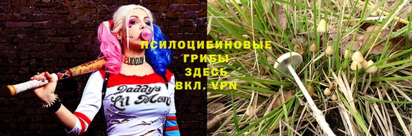 mix Абаза