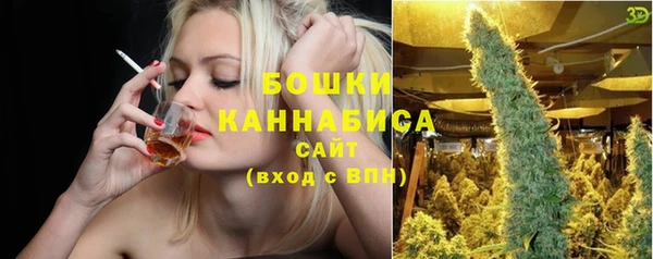 гидра Володарск