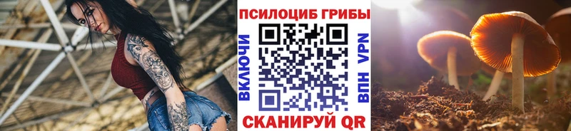 Галлюциногенные грибы ЛСД  Карасук 